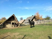 MŽP i v roce 2026 podpoří dobrovolnické a osvětové projekty zapojující veřejnost do přímé péče o přírodu